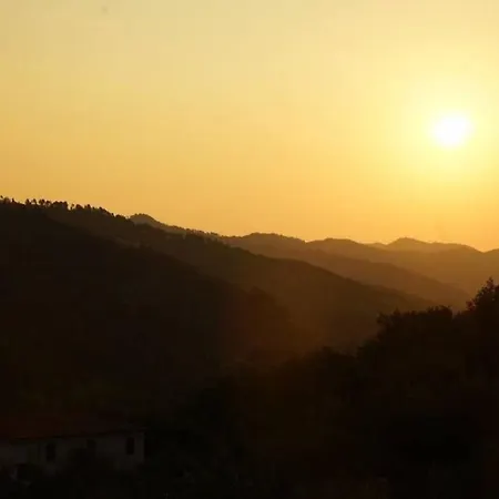La Cicala 1